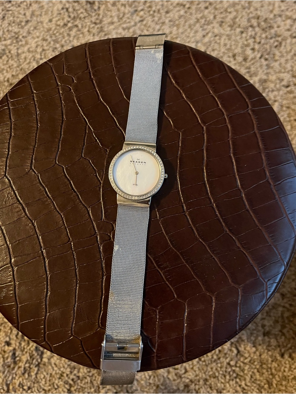 Skagen Silver Mesh Watch with Mother-of-Pearl Dial